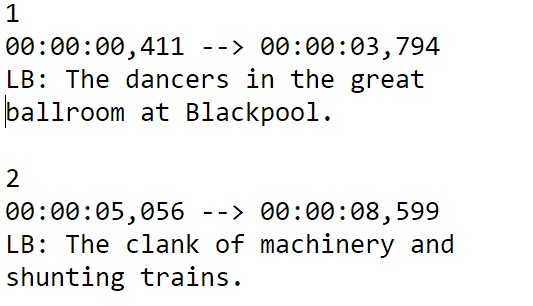 image of formatted srt text